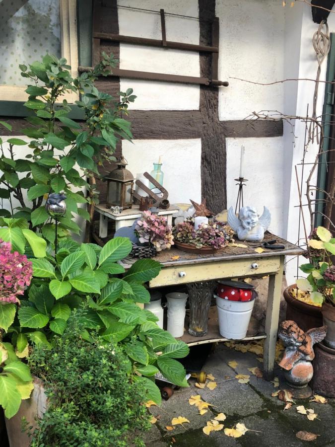 Platzhirsch Seligenstadt - Im Herzen Der Altstadt Екстериор снимка